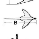 Ancora Trefoil inox 5 kg - immagine 2