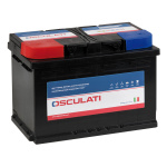 Batteria serie plus 95Ah