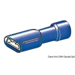 Faston femmina isolato 2,6-6 mm²