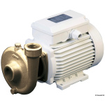 Elettropompa centrifuga bronzo 80 lt/min