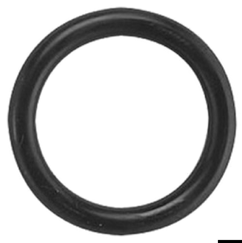 17.114.17.jpg O ring ricambio Speedfit 15 mm - immagine 1