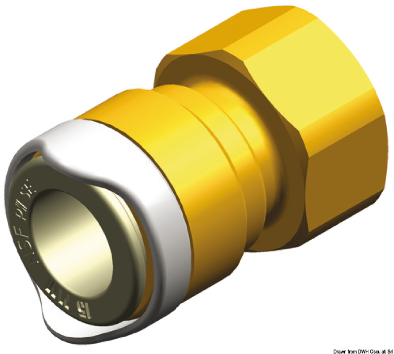 17.815.33.jpg Adattatore 1/2" BSP ottone Whale - immagine 1