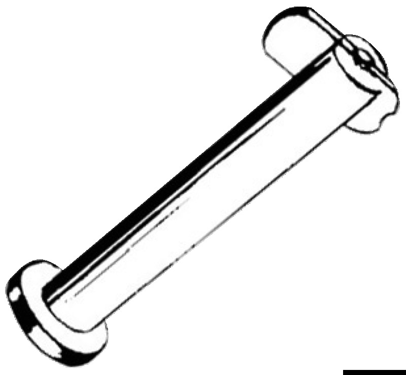 37.107.xx_.jpg Spinetta inox tedesca 6x15 - immagine 1