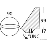 Anodo pinna Mercury poppieri - immagine 2