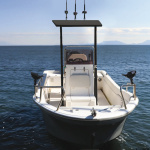 T-Top professionale 2000x1400 nero con telo nero - immagine 4
