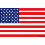 Bandiera USA 50 x 75 cm