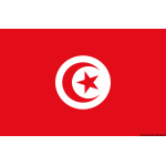 Bandiera Tunisia 20 x 30 cm
